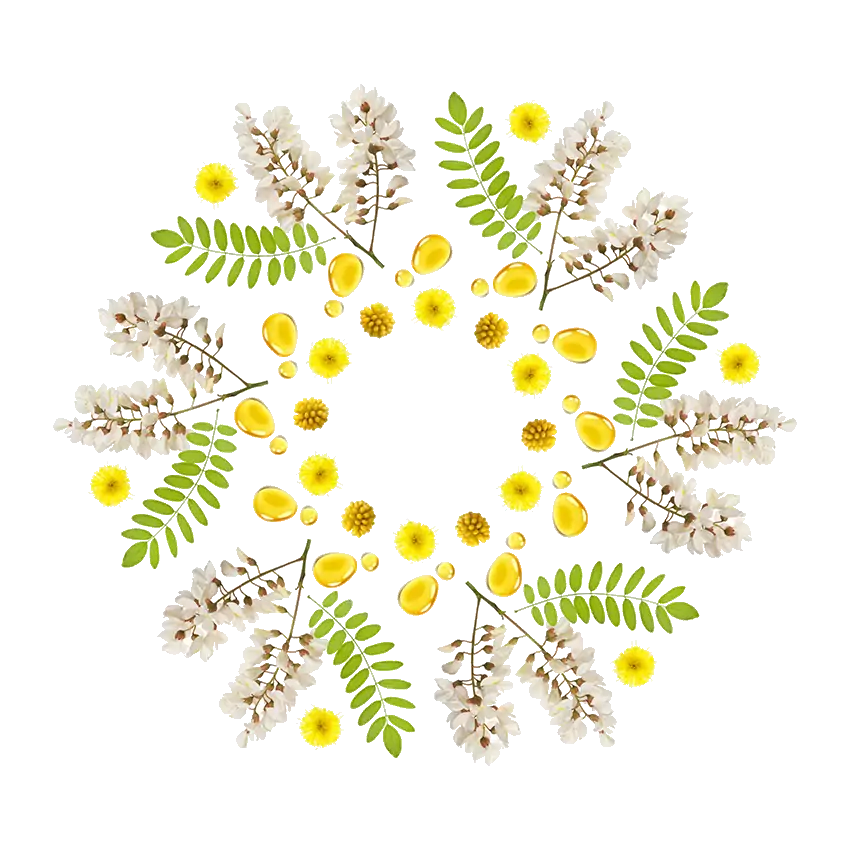 gamme acacia